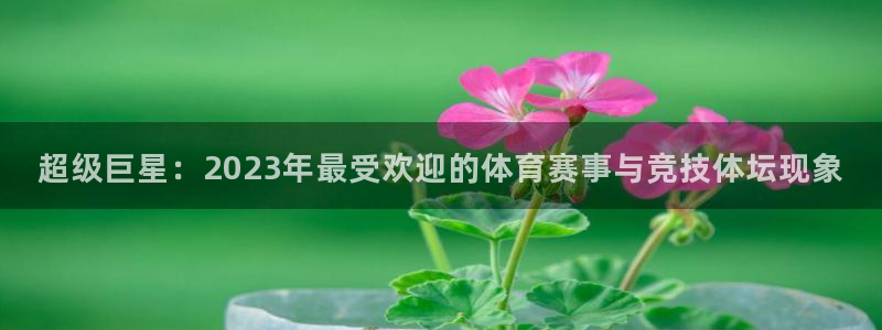 betway西汉姆：超级巨星：2023年最受欢迎的体育赛事与竞技体坛现象
