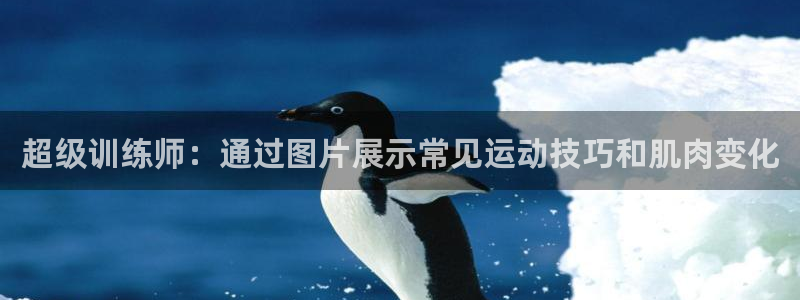 betway西汉姆官网：超级训练师：通过图片展示常见运动技巧和肌肉变化
