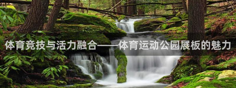 betway西汉姆联：体育竞技与活力融合——体育运动公园展板的魅力