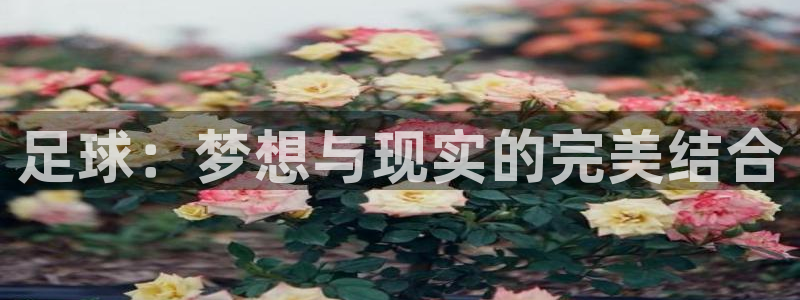 betway西汉姆：足球：梦想与现实的完美结合