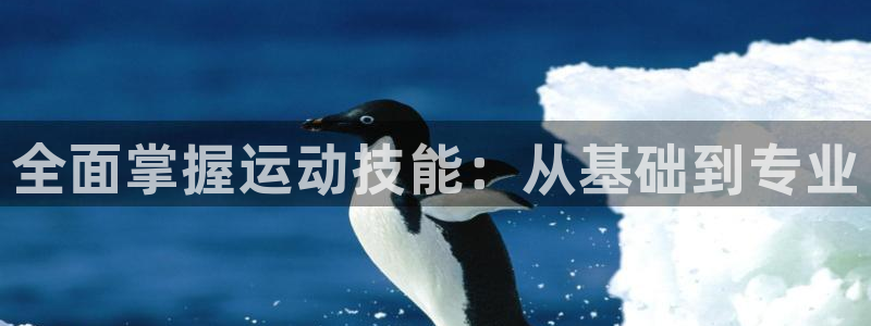betway西汉姆：全面掌握运动技能：从基础到专业