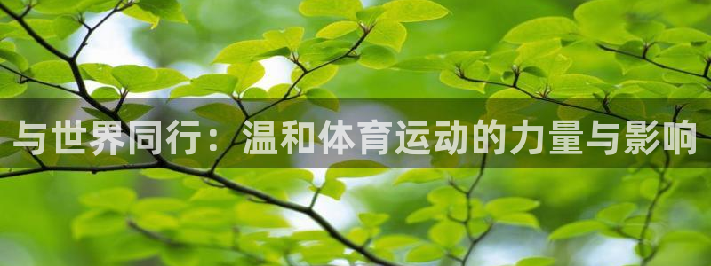 必威betway西汉姆联：与世界同行：温和体育运动的力量与影响