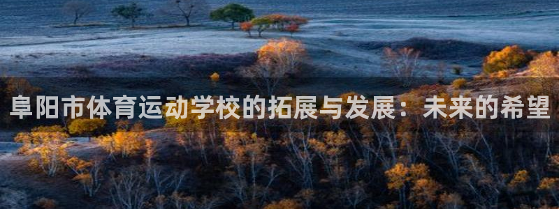 betway西汉姆官网：阜阳市体育运动学校的拓展与发展：未来的希望