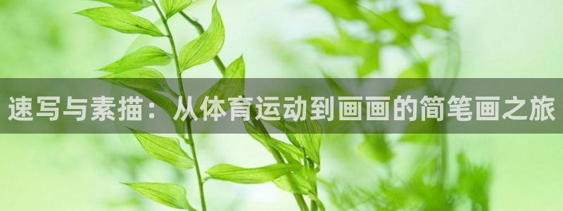 必威betway西汉姆联：速写与素描：从体育运动到画画的简笔画之旅