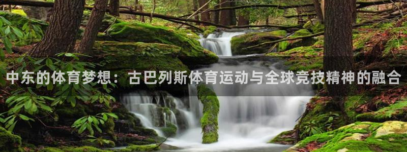 必威betway西汉姆联