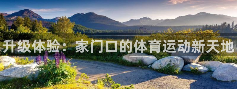 必威betway西汉姆联