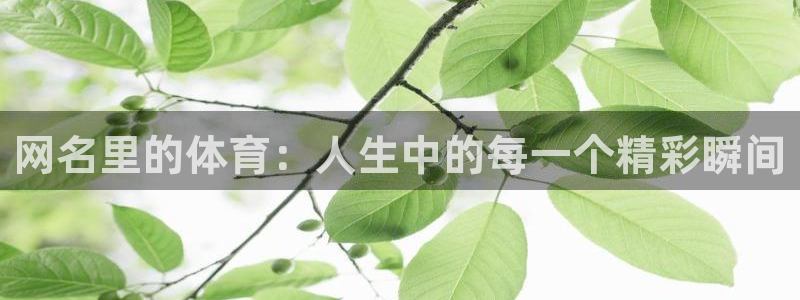 betway西汉姆官网